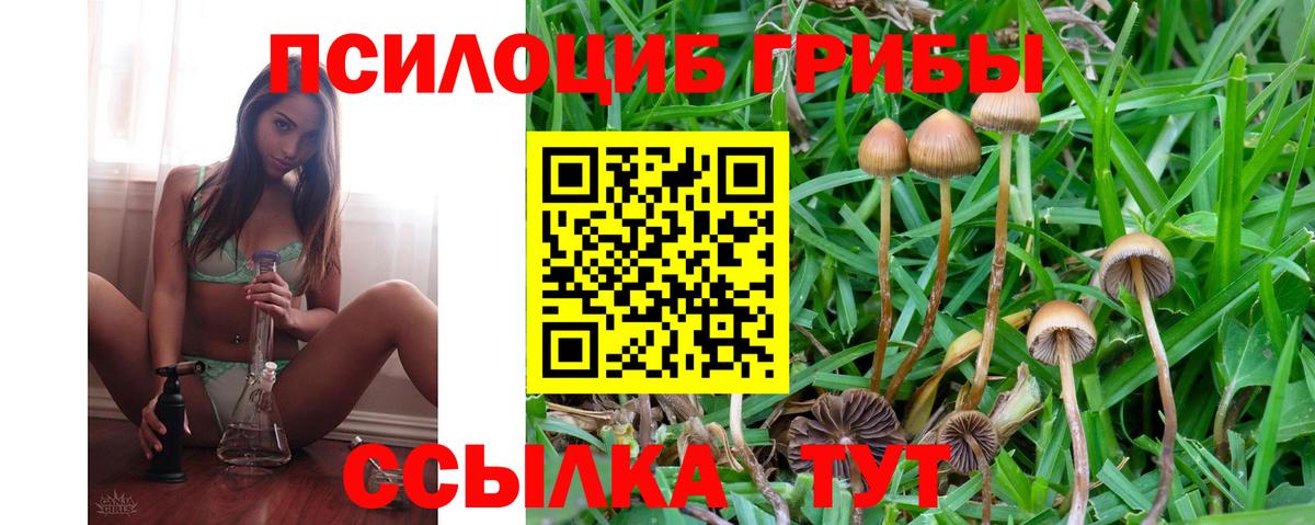 Иркутск  купить наркоту  Вход с VPN  Галлюциногенные грибы Psilocybine cubensis 